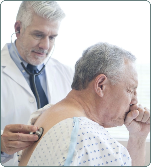 Lung and respiratory system illustration